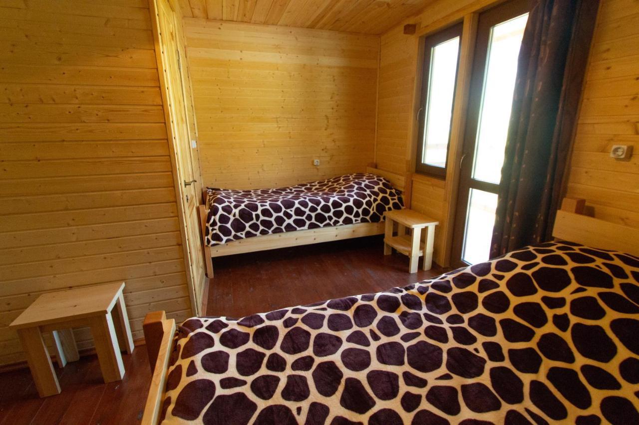 Guesthouse Gio Kashveti エクステリア 写真